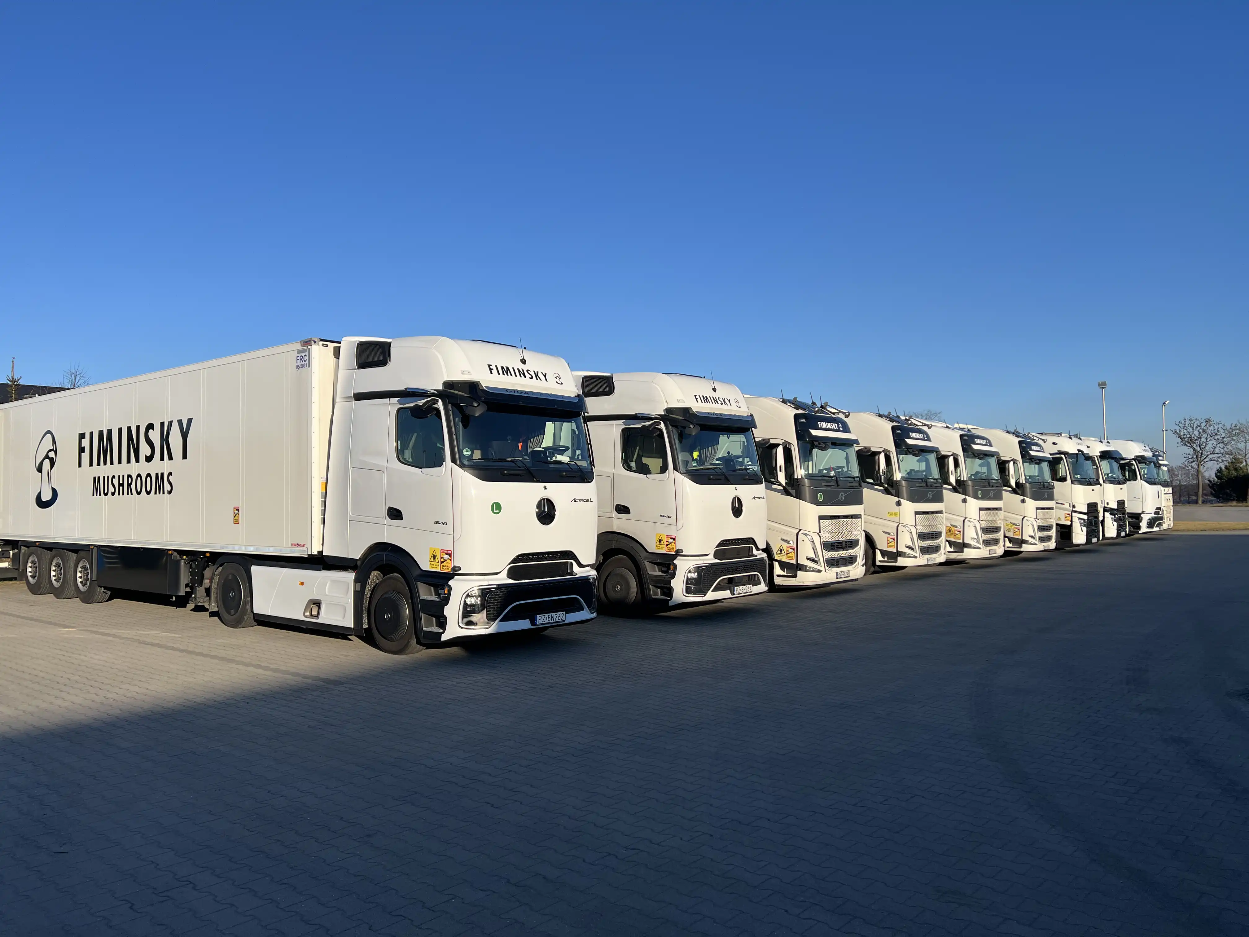 FIMINSKY refrigerated truck fleet for mushroom and vegetable transport